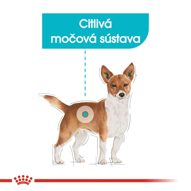 ROYAL CANIN Urinary Care Dog Loaf Kapsička pre psy s obličkovými problémami, 85g