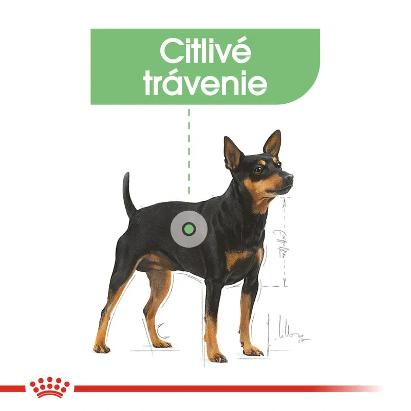 ROYAL CANIN Digestive Care Dog Loaf Kapsička pre psy s citlivým trápením, 85g