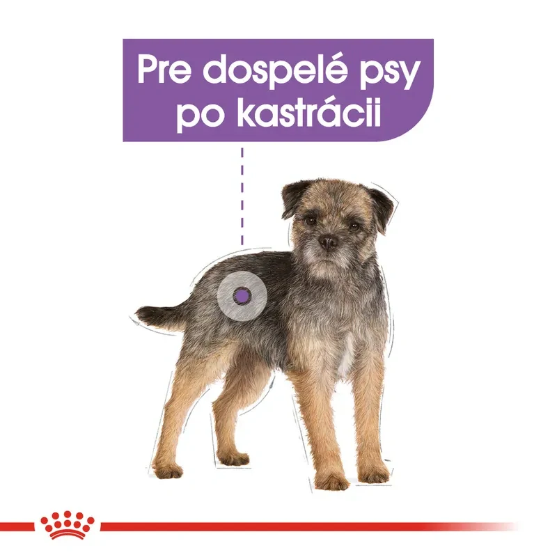 ROYAL CANIN Sterilised Dog Loaf Kapsička s paštétou pre kastrované psy, 85g