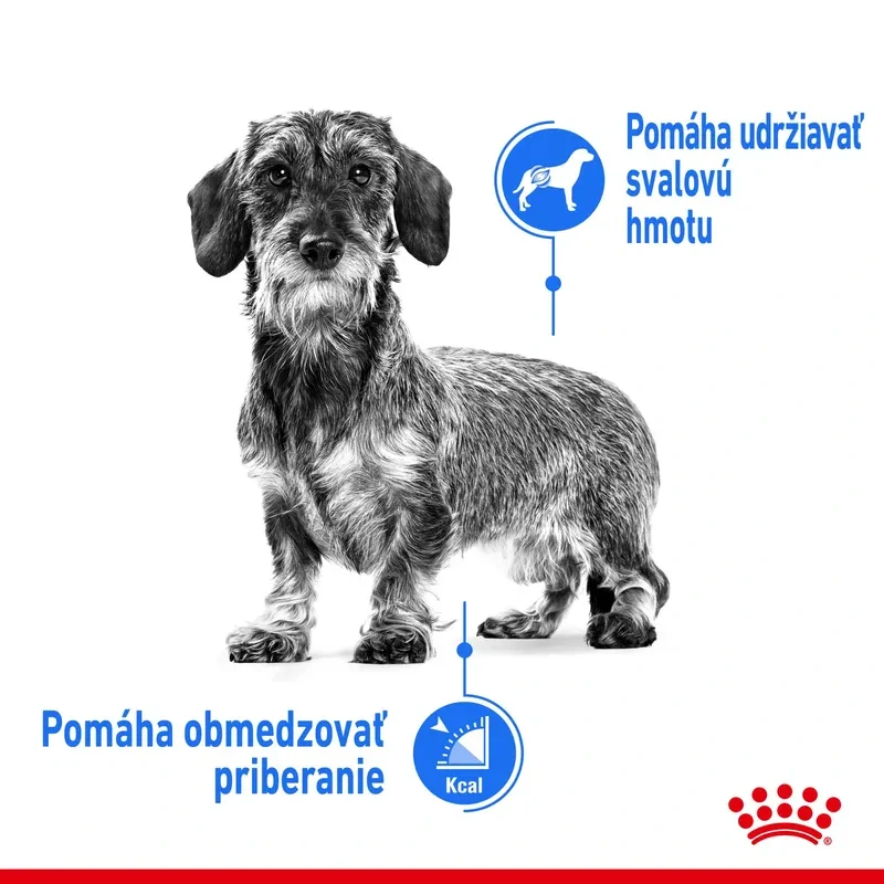 ROYAL CANIN Light Weight Care Dog Loaf Kapsička s paštétou pre psy s tendenciou priberať, 85g