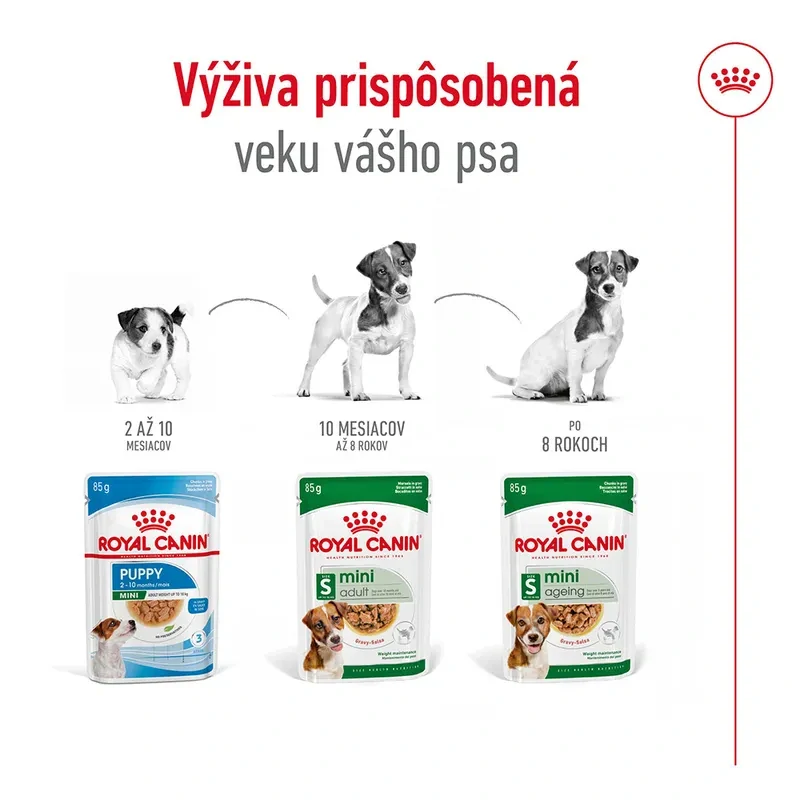 ROYAL CANIN Mini Ageing 12+ Kapsička pre dospelé malé psy, 85g