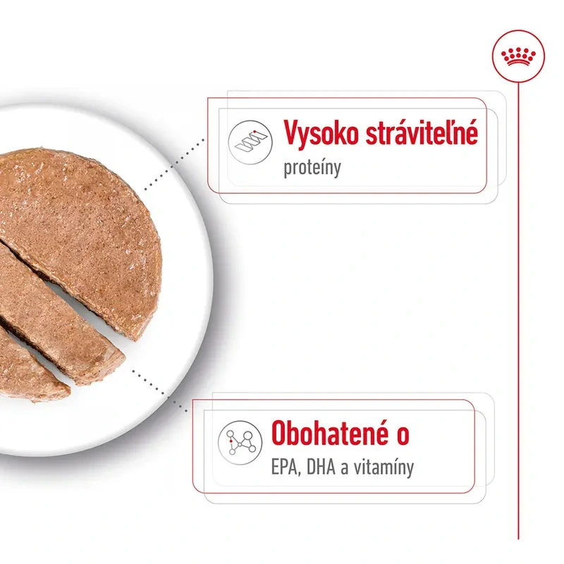 ROYAL CANIN Maxi Ageing Paštéta pre psy veľkých plemien starších ako 5 rokov, 410g