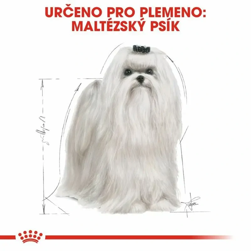 ROYAL CANIN Maltese Adult Granule pre maltézskeho psíka, 1,5 kg