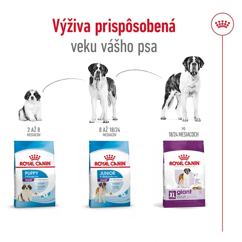 ROYAL CANIN Giant Adult Granule pre dospelé psy obrích plemien
