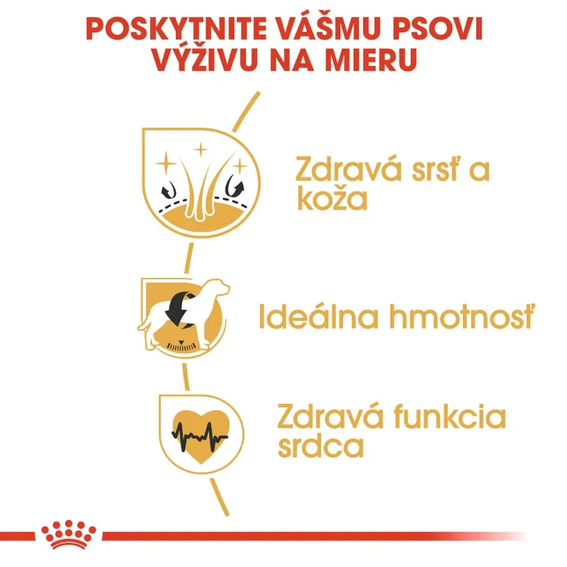 ROYAL CANIN Cocker Adult Granule pre dospelého kokeršpaniela, 3kg