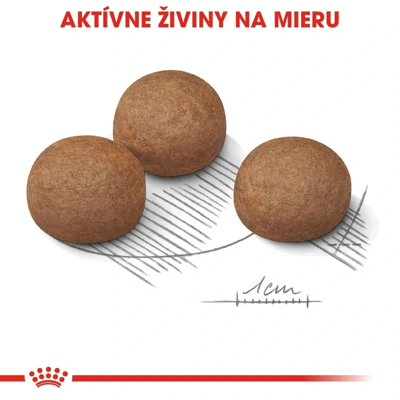 ROYAL CANIN Maxi Digestive Care Granule pre veľké psy s citlivým trávením, 3kg