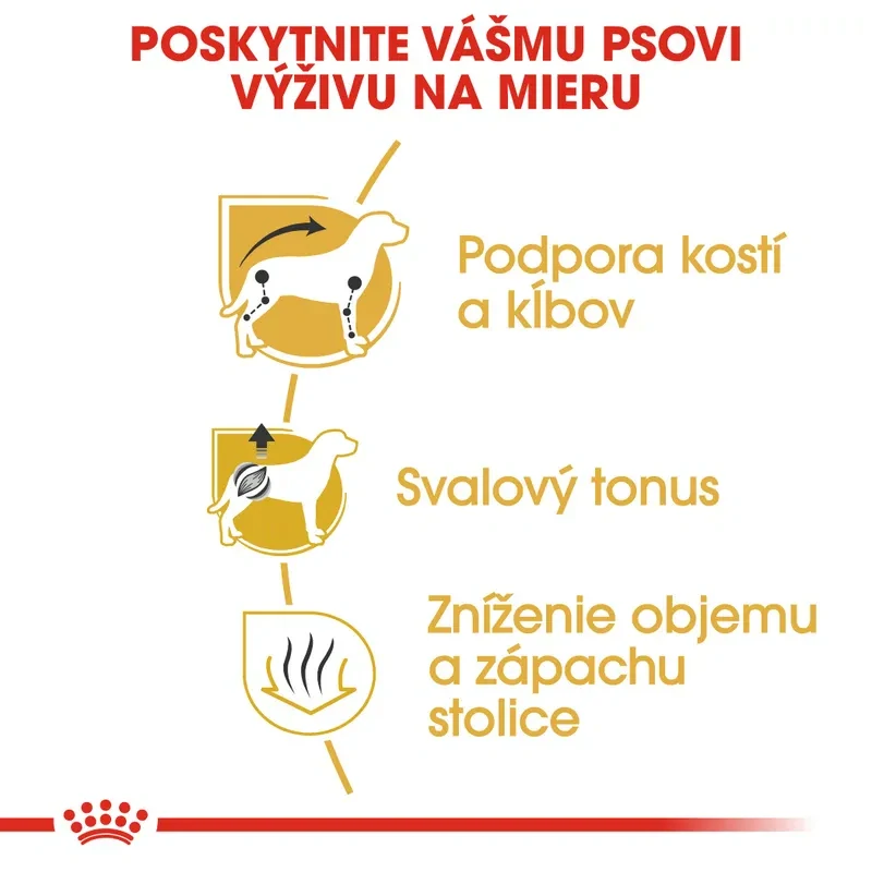 ROYAL CANIN Dachshund Adult Granule pre dospelého jazvečíka, 1,5 kg