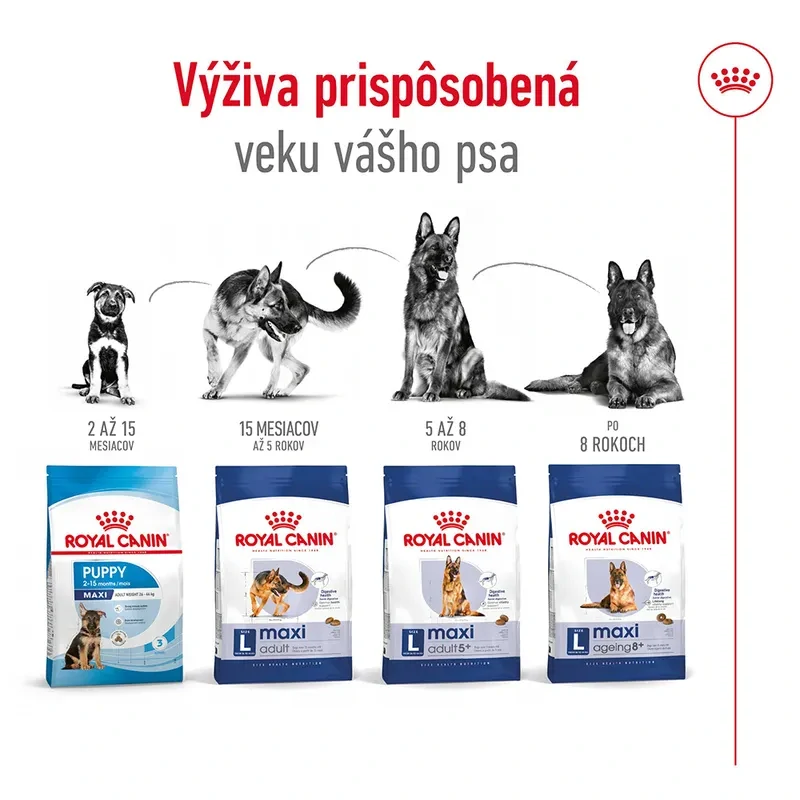 ROYAL CANIN MAXI Ageing 8+ Granule pre staršie psy veľkých plemien, 15 kg