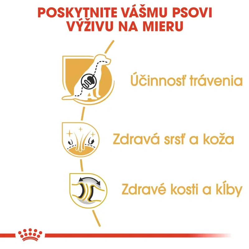 ROYAL CANIN German Shepherd Adult Granule pre dospelých nemeckých ovčiakov starších ako 15 mesiacov, 11kg