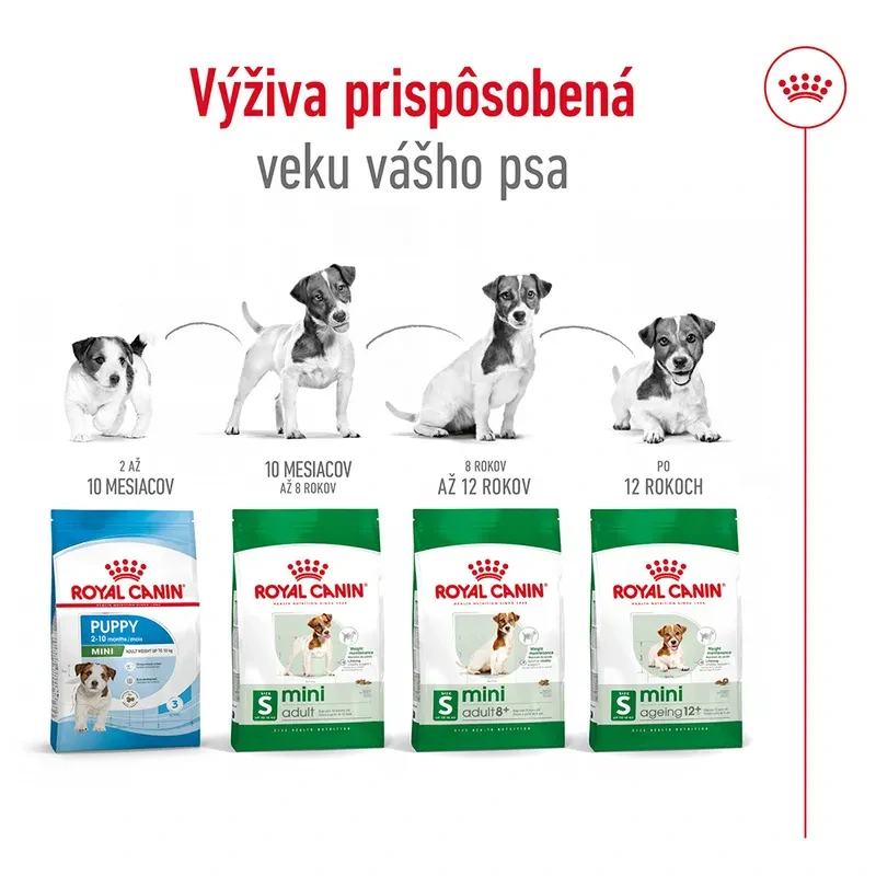 Royal Canin Mini Adult 8+ Granule pre dospelé starnúce psy, 8kg