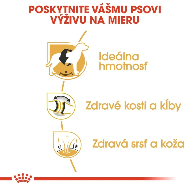 ROYAL CANIN Labrador Adult Granule pre dospelých psov plemena labradorský retriever, 3kg