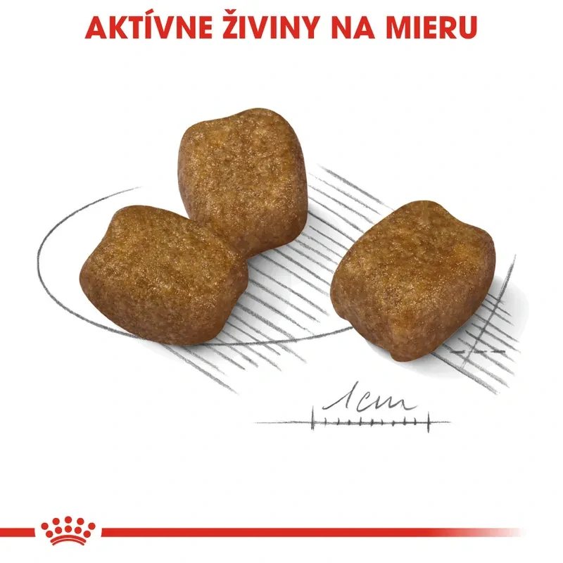 ROYAL CANIN Mini Dental Care Granule pre psy znižujúce tvorbu zubného kameňa