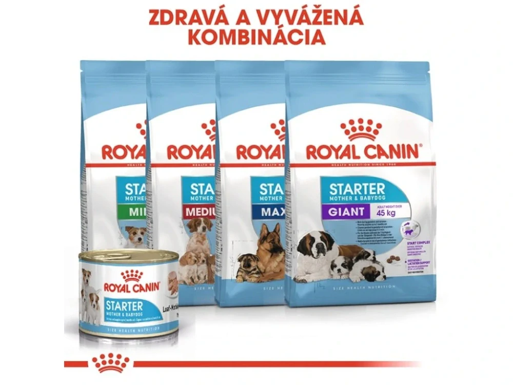 ROYAL CANIN Starter Mother & Babydog Mousse Konzerva, 195g