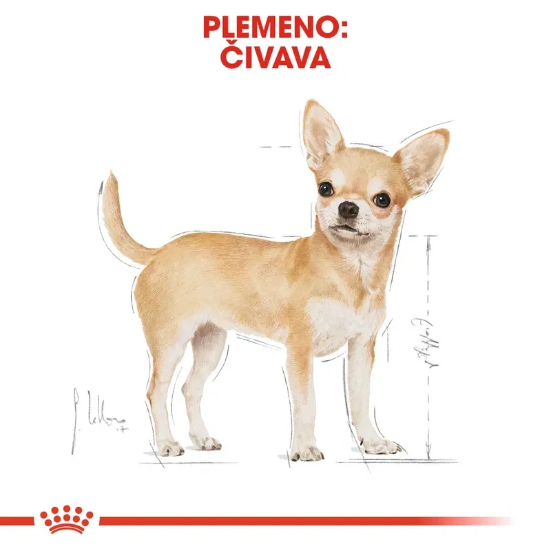 ROYAL CANIN Chihuahua Loaf Kapsička s paštétou pre čivavu, 12x85g