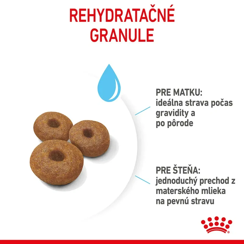 ROYAL CANIN Maxi Starter Mother & Babydog