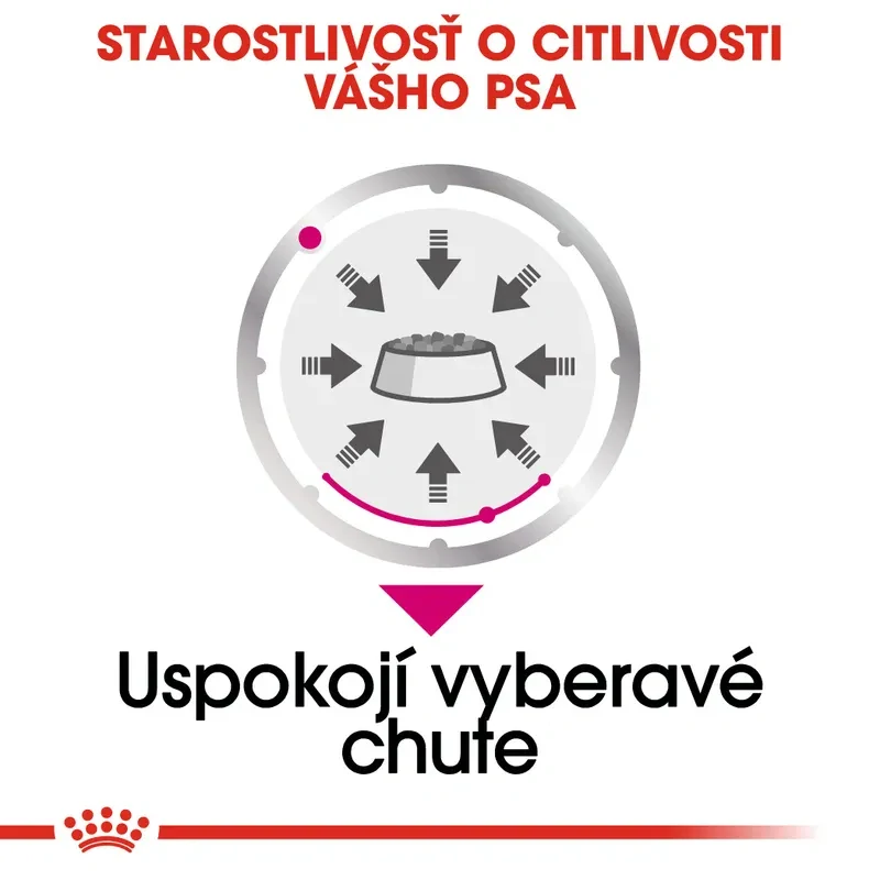 Royal Canin Exigent Dog Loaf Kapsička s paštétou pre maškrtné malé psy, 12x85g