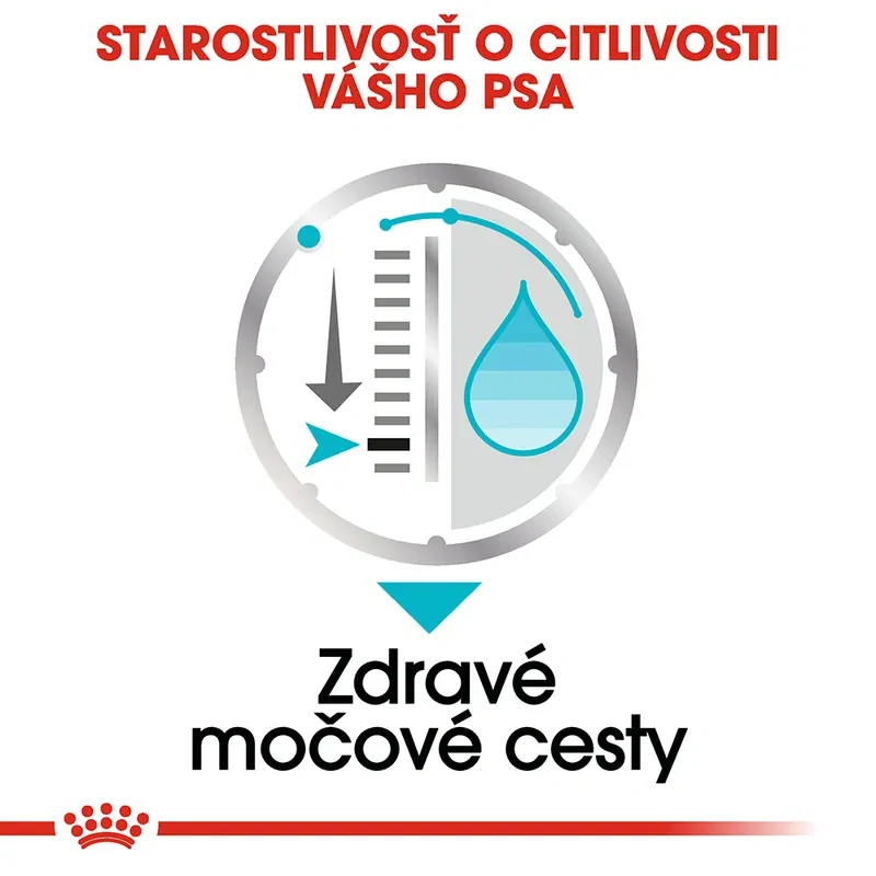 ROYAL CANIN Urinary Care Dog Loaf Kapsička pre psy s obličkovými problémami, 85g