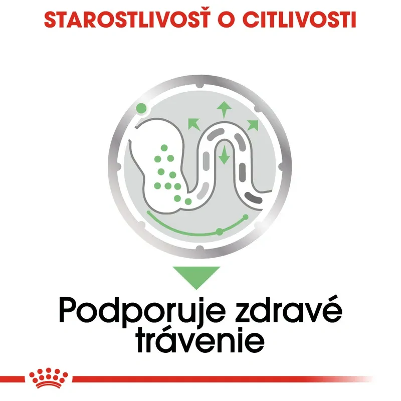 ROYAL CANIN Digestive Care Dog Loaf Kapsička pre psy s citlivým trápením, 85g