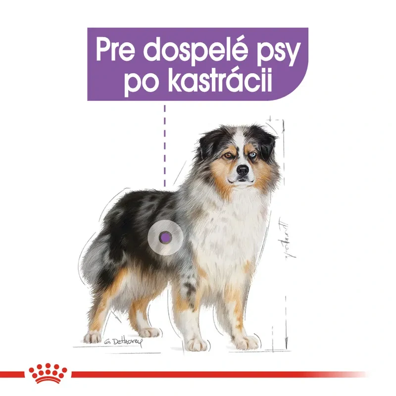 ROYAL CANIN Sterilised Medium Adult Granule pre kastrované psy stredných plemien