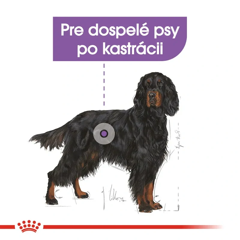 ROYAL CANIN Sterilised Maxi Adult Granule pre kastrované psy veľkých plemien, 12kg