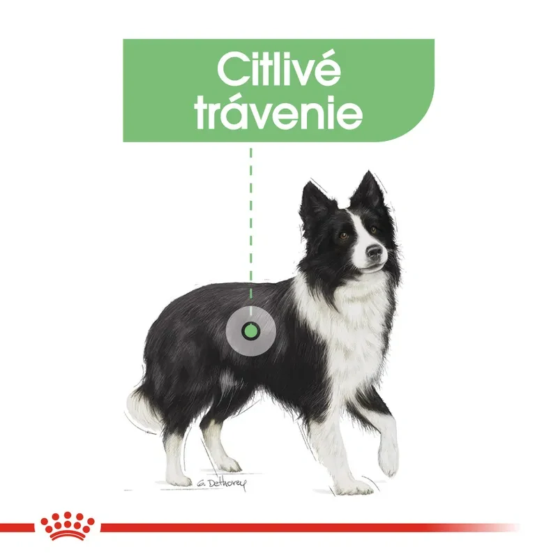ROYAL CANIN Medium Digestive Care Granule pre stredných psov s citlivým trávením