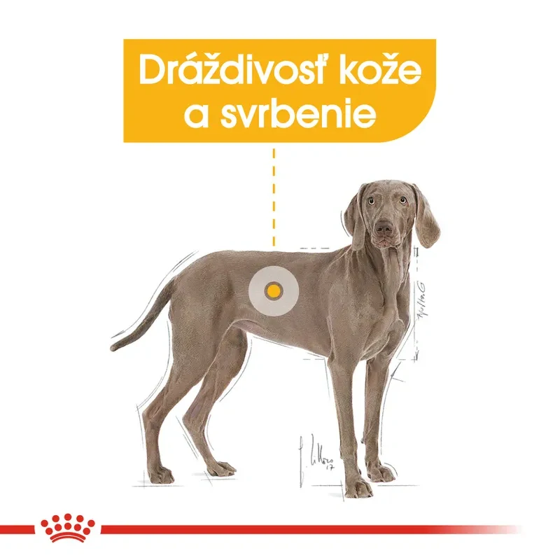 ROYAL CANIN Maxi Dermacomfort Granule pre veľké psy s problémami s kožou, 12kg