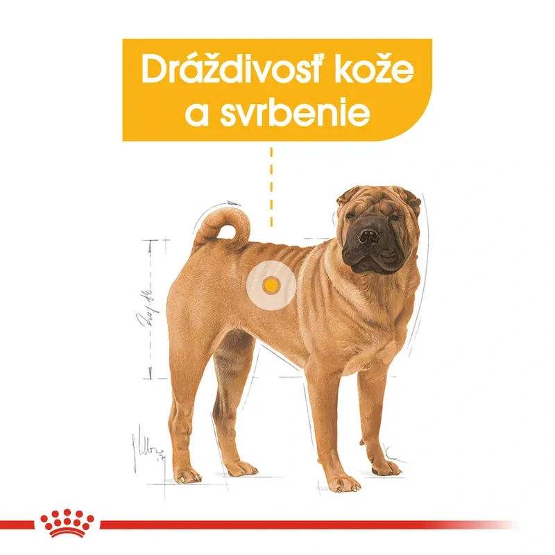 ROYAL CANIN Medium Dermacomfort Granule pre stredné psy s problémami s kožou