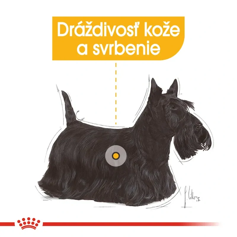 ROYAL CANIN Mini Dermacomfort Granule pre malé psy s problémami s kožou