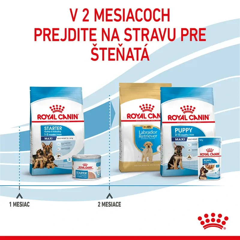 ROYAL CANIN Maxi Starter Mother & Babydog